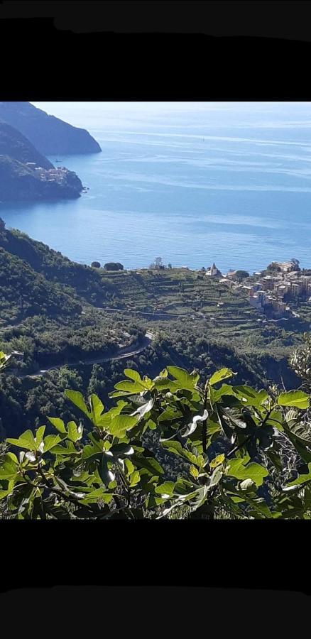 Residenza Solferino Apartment Corniglia Exterior photo
